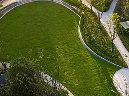 临平公园爆料最新消息今天  第1张